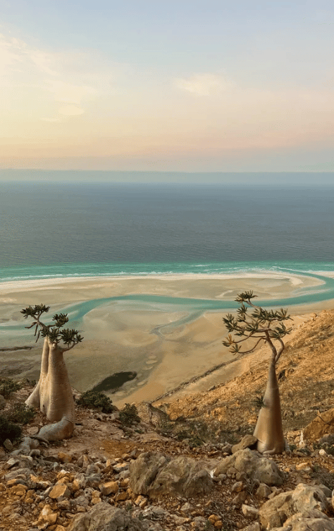 Socotra Yemen